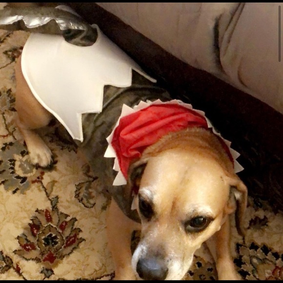 Dog dinosaur costume - Picture 2 of 3